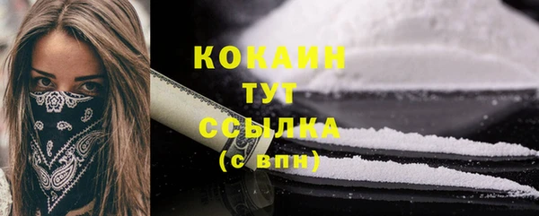 прущие грибы Горно-Алтайск