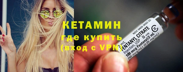 сатива Горняк