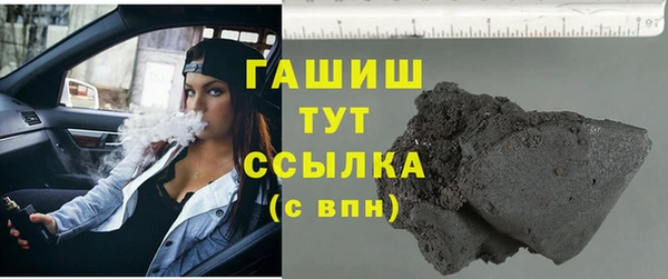 прущие грибы Горно-Алтайск