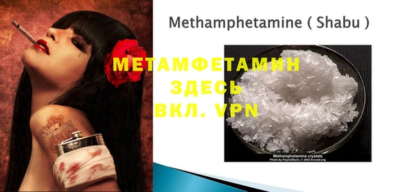 прущие грибы Горно-Алтайск