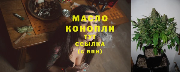 сатива Горняк