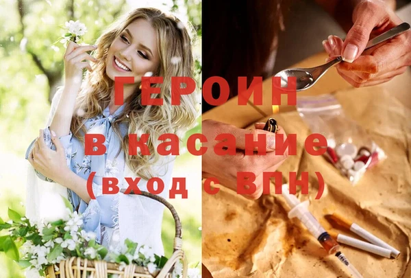 прущие грибы Горно-Алтайск