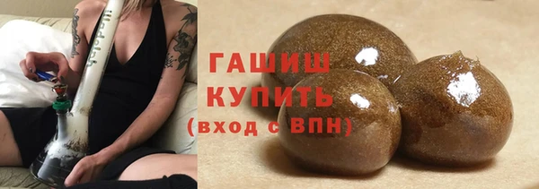 прущие грибы Горно-Алтайск