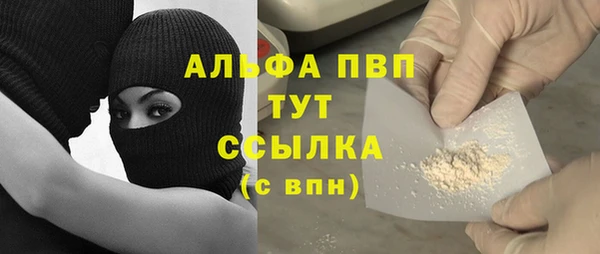 PSILOCYBIN Горнозаводск