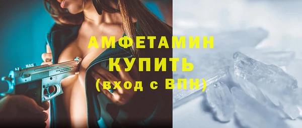 прущие грибы Горно-Алтайск