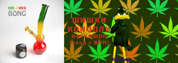 PSILOCYBIN Горнозаводск