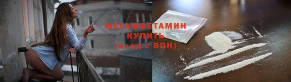 сатива Горняк
