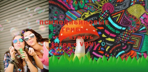 прущие грибы Горно-Алтайск