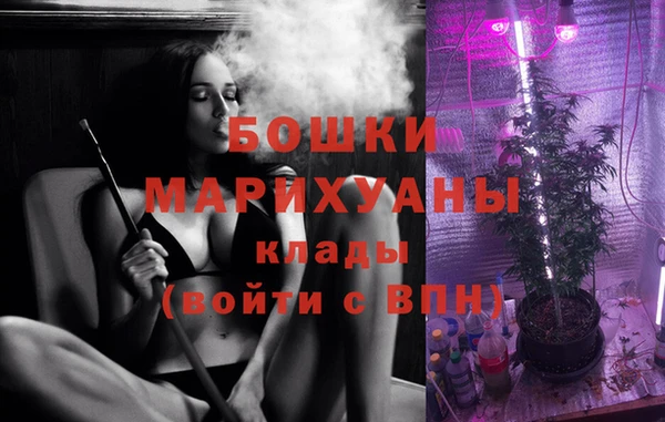прущие грибы Горно-Алтайск