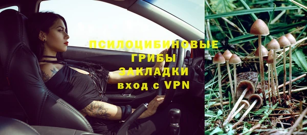 прущие грибы Горно-Алтайск