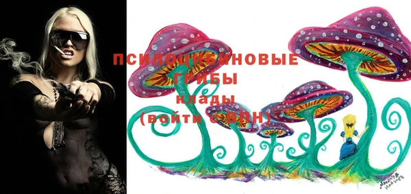 PSILOCYBIN Горнозаводск