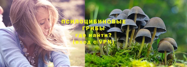 сатива Горняк