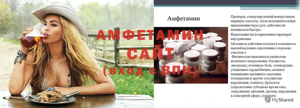 прущие грибы Горно-Алтайск